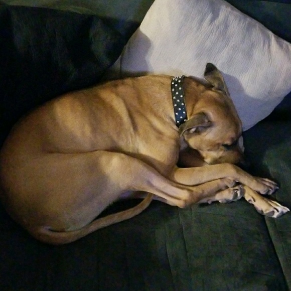 lazymexican0724